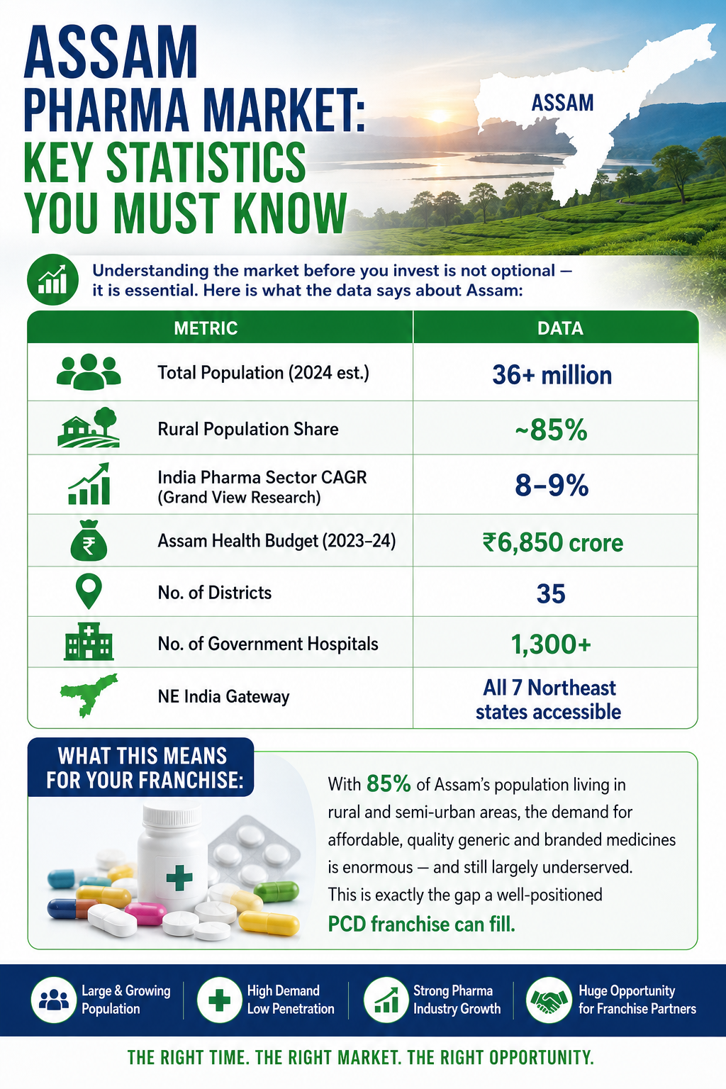 Assam pharma market key statistics report